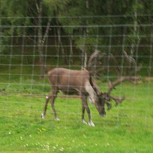 HWP visit 04/08/2011