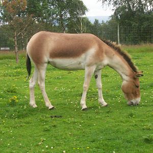 HWP visit 04/08/2011