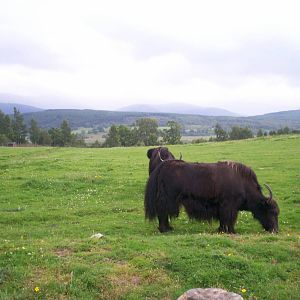 HWP visit 04/08/2011