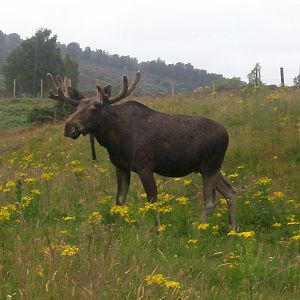 HWP visit 04/08/2011