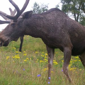 HWP visit 04/08/2011