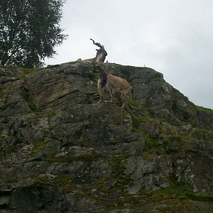 HWP visit 04/08/2011