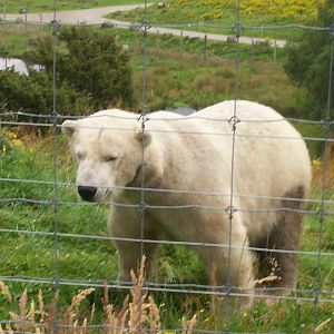 HWP visit 04/08/2011