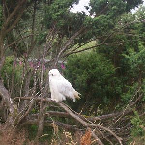 HWP visit 04/08/2011