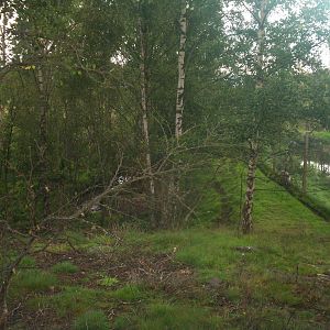 HWP visit 04/08/2011