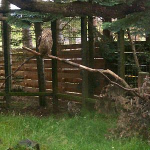 HWP visit 04/08/2011