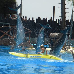 Dolphin visitor experience at Mundo Mar 01/08/11