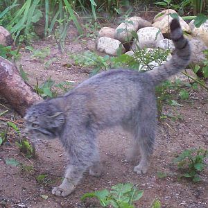 HWP visit 04/08/2011