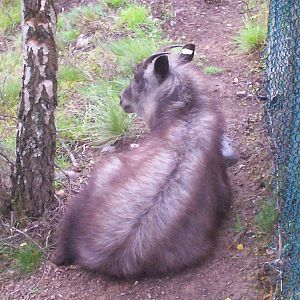 HWP visit 04/08/2011