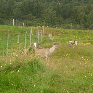 HWP visit 04/08/2011