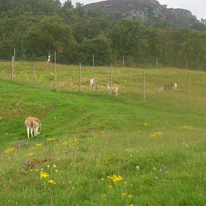 HWP visit 04/08/2011