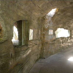 Burmese Python and Water Monitor enclosure at Terra Natura 29/07/11