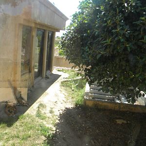 Sumatran Tiger enclosure at Terra Natura 29/07/11