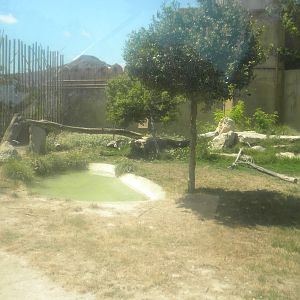 Asian Lion enclosure at Terra Natura 29/07/11