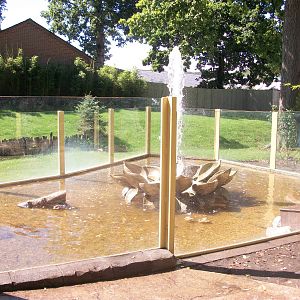 Otter enclosure - Animal Adventure