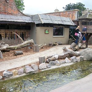 Chipmunk enclsoure - Jungle Kingdom