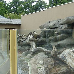 Otter enclosure - Jungle Kingdom