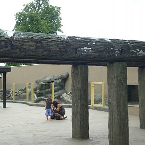 Coati Walkway - Jungle Kingdom