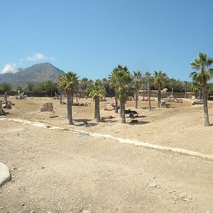 Kaziranga reserve at Terra Natura 29/07/11