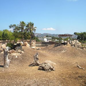 Greater one-horned Rhino area at Terra Natura 29/07/11