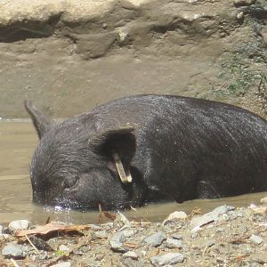 Underwater Exploration