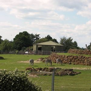 Plains of Africa - 24.07.2011