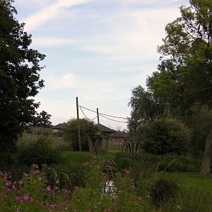 Lemur Islands - 27.07.2011