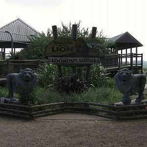 Kingdom of the Lion Statue - 27.07.2011