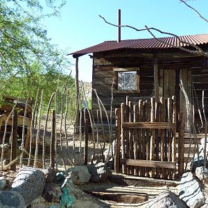 Monarch Of The Desert - Jaguar Exhibit