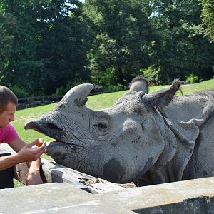 Shikari eating dinner