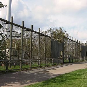 Monkey Enclosures - 27.07.2011