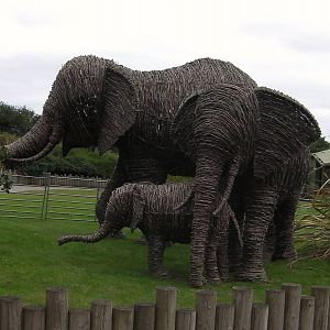 Elephant Statue - 29.07.2011