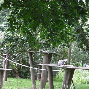 Lemur Islands - 29.07.2011