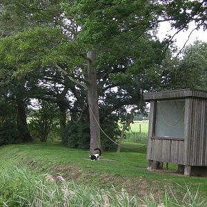 Lemur Islands - 29.07.2011