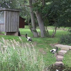 Lemur Islands - 29.07.2011