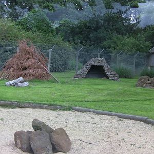 Striped Hyaena Encosure - 29.07.2011