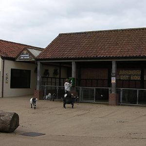 Farm Yard Corner - 29.07.2011