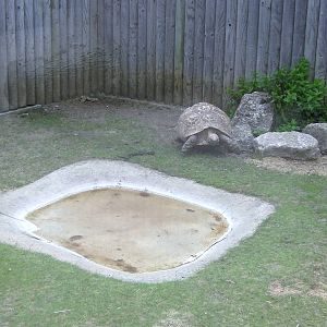 Tortoise Enclosure - 29.07.2011