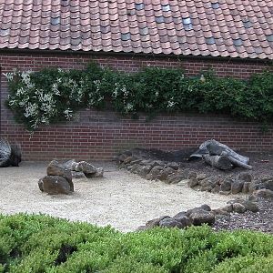 Porcupine Enclosure - 29.07.2011