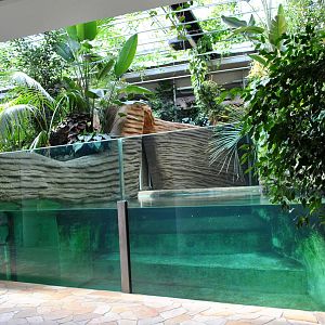 Hippo House -indoor pool