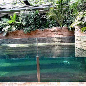 Hippo House-indoor pool