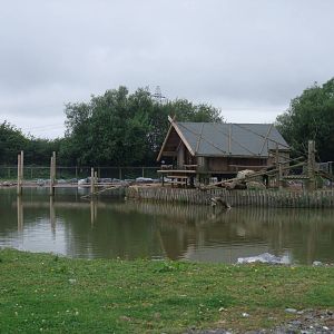 Lemur Island at Folly Farm, 01/08/11