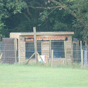 Red River Hog Exhibit at Folly Farm, 01/08/11