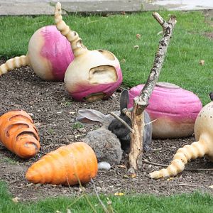 50th Anniversary 28/06/11