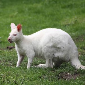 50th Anniversary 28/06/11