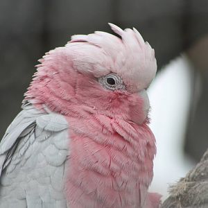 50th Anniversary 28/06/11