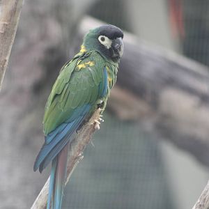 50th Anniversary 28/06/11