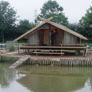 Lemur Island at Folly Farm, 01/08/11
