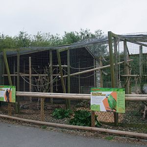 Parrot Aviaries at Folly Farm, 01/08/11