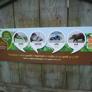 Welsh Language Trail at Folly Farm, 01/08/11